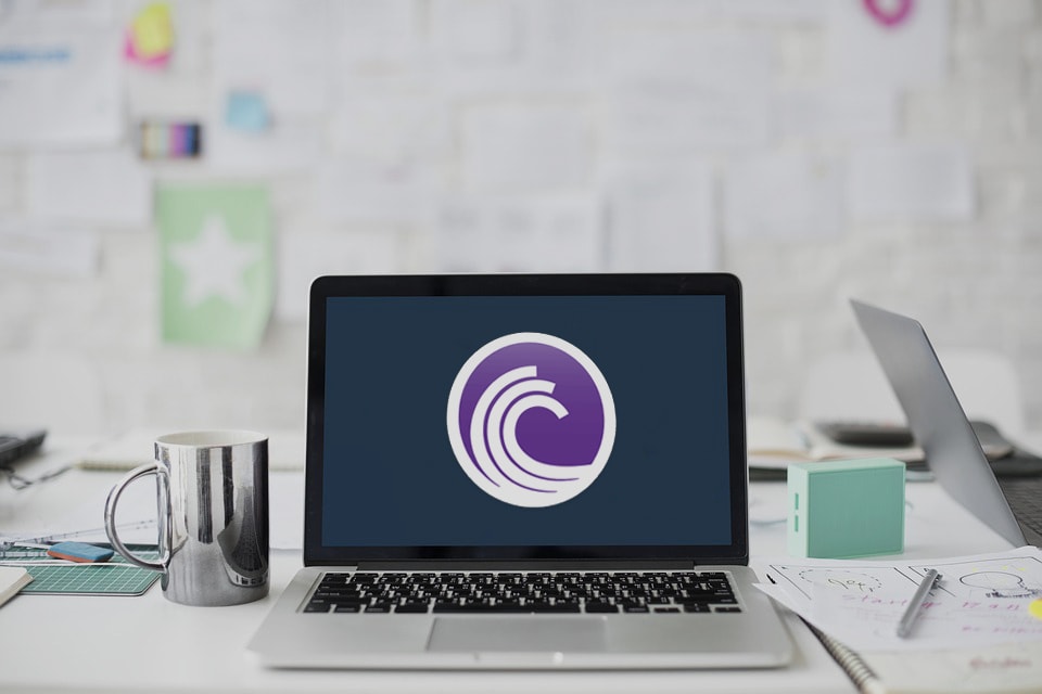 torrenting on laptop at office